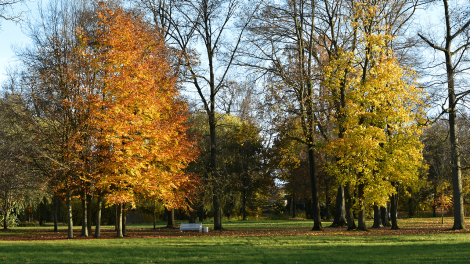Herbststimmung im Meyenburger Schlosspark., Foto: Björn Haase-Wendt, Antenne Brandenburg