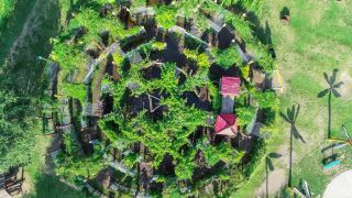 Rankenlabyrinth im IRRLANDIA Mitmachpark, Foto: IRRLANDIA