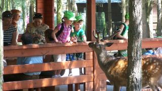 Foto: Tierpark Germendorf