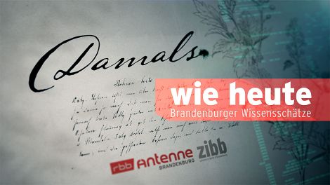24 2 Bis 6 3 2020 Damals Wie Heute Brandenburger Wissensschatze Antenne Brandenburg