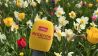 Antenne Mikrofon vor einem Blumenmeer, Bild: Antenne Brandenburg / Matthias Gindorf