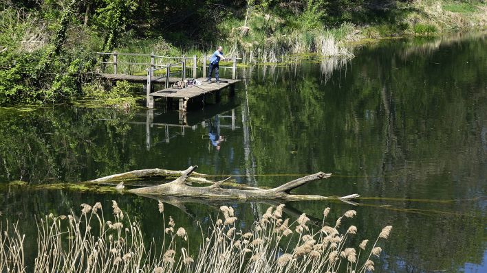 An einem Teich in Bad Belzig, Foto: IMAGO / Steinach