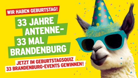 Grafik: 33 Jahre Antenne Brandenburg mit feierndem Alpaka, Foto: Antenne Brandenburg