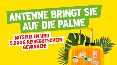 Antenne bringt Sie auf die Palme, Bild: Antenne Brandenburg