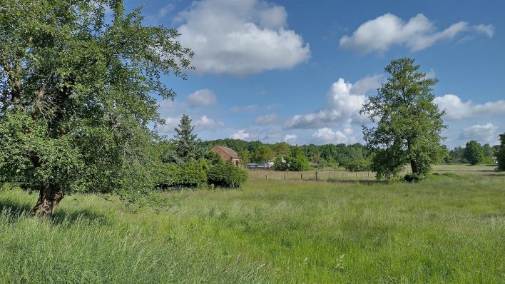 Landschaft um Cabel, Bild: Antenne Brandenburg/Daniel Mastow