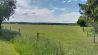 Landschaft rund um Merkur, Bild: Antenne Brandenburg/Daniel Mastow