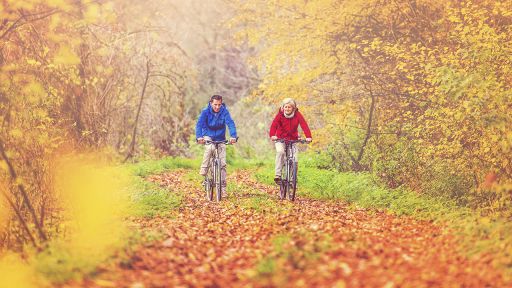 Ein Pärchen fährt Fahrrad im herbstlichen Wald, Foto: Colourbox