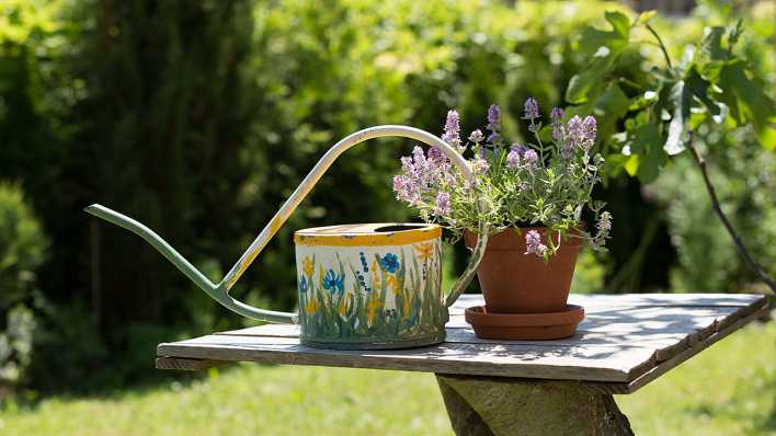Gießkanne und Blumentopf, Foto: Colourbox