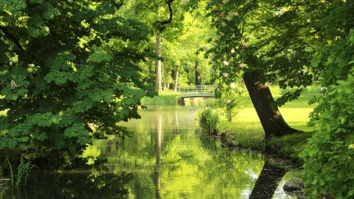 Hörerfoto: Spreewaldstille, Bild: Lennard Baatz aus Lübbenau