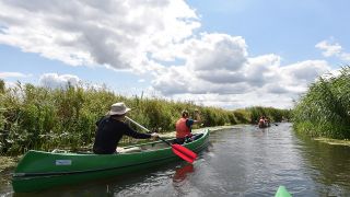 Kanufahren in Brandenburg, Foto: dpa-Bildfunk, Bernd Settnik