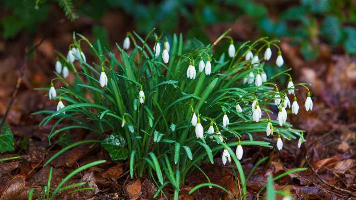 Der Garten Im Februar Antenne Brandenburg