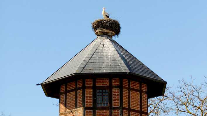 Störche auf dem Wasserturm in Rühstädt, Foto: imago