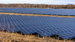Mehrere Solarpanele auf einem Feld, Foto: Colourbox