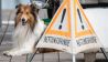 Rettungshund vor einem Schild, Foto: IMAGO / HMB-Media