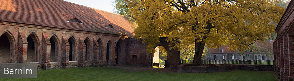 Herbst am Kloster Chorin, Bild: imago