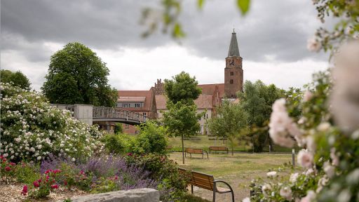 Blick zur Dominsel in Brandenburg a.d.Havel, Bild: imago