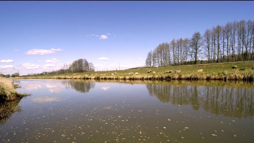 Flusslandschaft an der Schwarzen Elster bei Bad Liebenwerda, Bild: imago/Busse