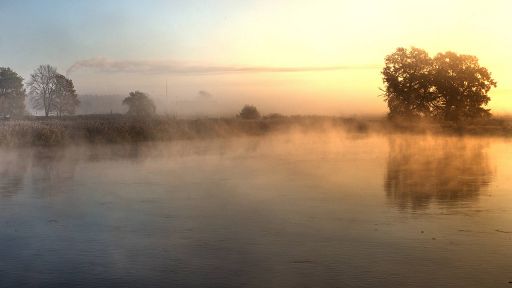 Oderlandschaft bei Frankfurt, Bild: imago