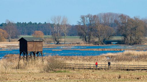 Vogelbeobachtungshütte im Naturpark "Westhavelland", Bild: dpa/Patrick Pleul