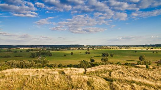 Blick vom Stolper Turm übers Oderland. Foto: Colourbox