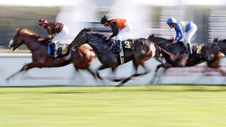 Pferderennen auf der Galopprennbahn Hoppegarten, Bild: imago images