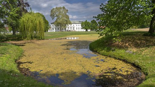 Schloss Neuhardenberg, Bild: imago images/Volker Hohlfeld