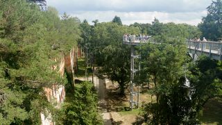Der Baumkronenpfad führt vorbei an den Beelitzer Heilstätten, Bild: Antenne Brandenburg / Stefan Oberwalleney