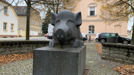 Ein Eber ist das Wappentier von Golßen. Diese Skulptur ist in der Innenstadt zu finden, Bild: Antenne Brandenburg / Daniel Friedrich