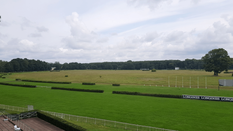 Blick von der Klub-Tribüne auf die Galopprennbahn, Foto: Antenne Brandenburg, Eva Kirchner-Rätsch