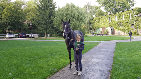 Die tägliche Versorgung der Rennpferde übernehmen fleißige Helfer, Foto: Antenne Brandenburg, Eva Kirchner-Rätsch