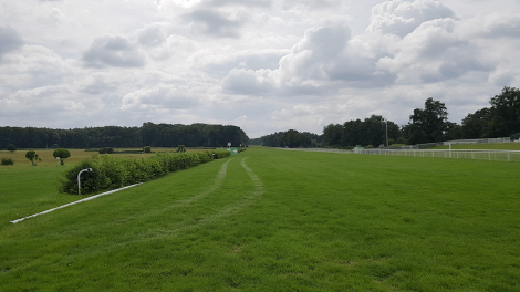 Einzigartiger Rennbahnblick, Foto: Antenne Brandenburg, Eva Kirchner-Rätsch