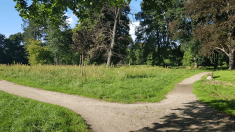 In die Jahre gekommen und trotzdem schön: Der Lennè-Park in Hoppegarten, Foto: Antenne Brandenburg, Eva Kirchner-Rätsch