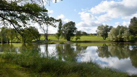 Das Brackwasser Besandten ist durch einen Deichbruch im Jahr 1888 entstanden. Die Wassermassen spülten das Gewässer aus. Heute ist das Brackwasser Lebensraum für Fische und Amphibien und Futterstelle für die Weißstörche, Bild: Antenne Brandenburg / Björn Haase-Wendt