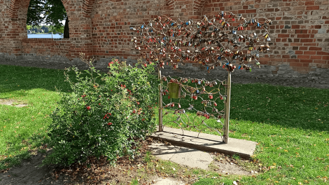 Liebe liegt in der Luft: unweit der Klosterkirche steht der Neuruppiner Liebesbaum. Liebespaare können ihrer Liebe mit einem Schloss ein Zeichen setzen.