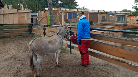 Esel Hans wird liebevoll versorgt, Foto: Eva Kirchner-Rätsch, Antenne Brandenburg