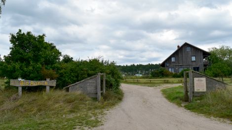 Entspannung statt Stress – das ist auf der Bio-Ranch in Zempow mit Ferienunterkünften und Pferdetouren angesagt, Bild: Antenne Brandenburg/Haase-Wendt