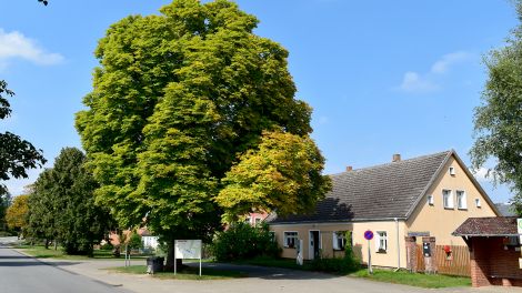 Zempow ist ein kleines Dorf mit rund 140 Einwohnern, Bild: Antenne Brandenburg/Haase-Wendt