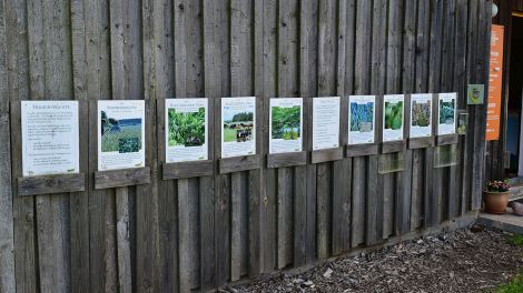 An der Rezeption der Bio-Ranch Zempow wird zur Fruchtfolge informiert, Bild: Antenne Brandenburg/Haase-Wendt