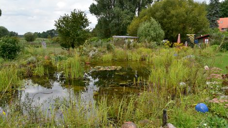 Der Heil-Kunst-Garten hat eine Größe von rund 6.500 Quadratmetern und wurde nach den Regeln der Permakultur angelegt und ist eine Oase für Mensch und Tier, Bild: Antenne Brandenburg/Haase-Wendt