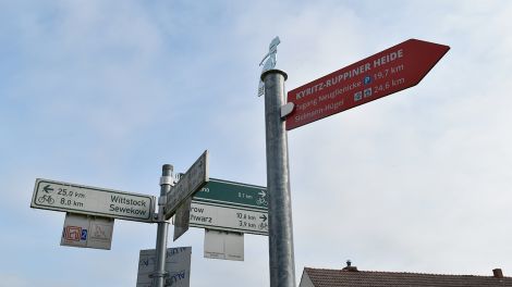 Von Zempow aus in die Region? Per Rad oder per Wanderung lässt sich die Region unweit der Mecklenburgischen Seenplatte aus gut erkunden, Bild: Antenne Brandenburg/Haase-Wendt