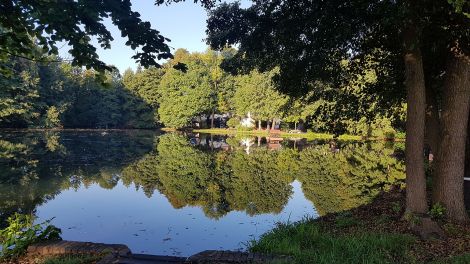 Am Schmidtsteich in Altdöbern, Bild: Antenne Brandenburg/Iris Wußmann