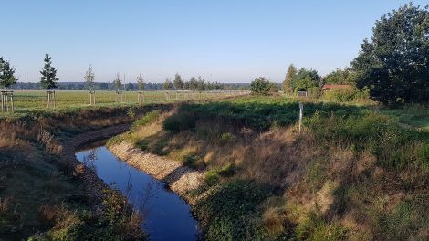 Der Deichgraben in Altdöbern schützt vor wieder ansteigendem Grundwasser nach dem Tagebau, Bild: Antenne Brandenburg/Iris Wußmann