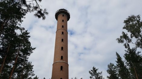 Aussichtsturm in der Calauer Schweiz bei Altdöbern, 43 Meter hoch, Bild: Antenne Brandenburg/Iris Wußmann