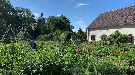 Naturschutzzentrum Kleinrössen, Bild: Antenne Brandenburg/Anke Blumenthal