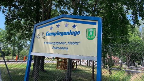 Kiebitzsee – ist beliebtes Erholungsgebiet direkt hinter FalkenbergBild: Antenne Brandenburg/Anke Blumenthal