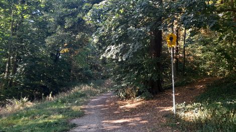 Naturschutzgebiet an der Grenze zu Vogelsdorf, Foto: Antenne Brandenburg/Marie Stumpf