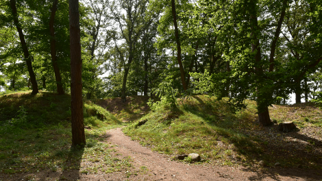 Das Königsgrab von Seddin hat beeindruckende Dimensionen: 63 Meter breit und 10 Meter hoch., Foto: Björn Haase-Wendt, Antenne Brandenburg