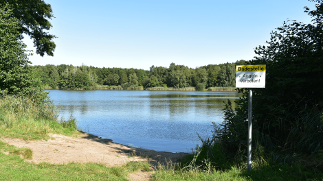 Die Karpfenteiche bei Groß Pankow sind ein Ziel für Badefreude und Angler., Foto: Björn Haase-Wendt, Antenne Brandenburg