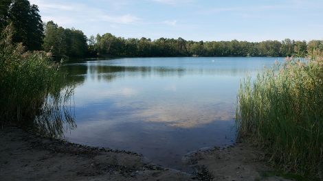 Der Heidesee – einer von insgesamt 7 Seen rund um Halbe, Bild: Antenne Brandenburg/Jasmin Schomber