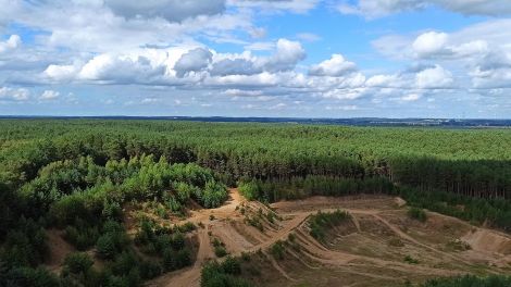 Aussichtsturm Blumenthal bei Heiligengrabe, Bild: Antenne Brandenburg/Björn Haase-Wendt